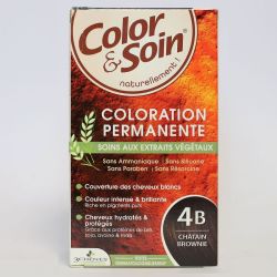 Color Soin Chatain Brownie 4B